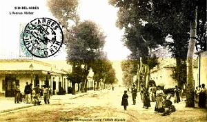1016- Sidi-bel-Abbes - Avenue Kleber